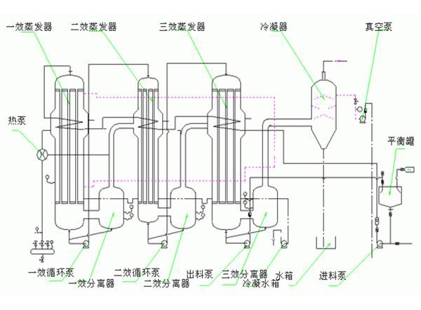 三效強(qiáng)制循環(huán)蒸發(fā)器